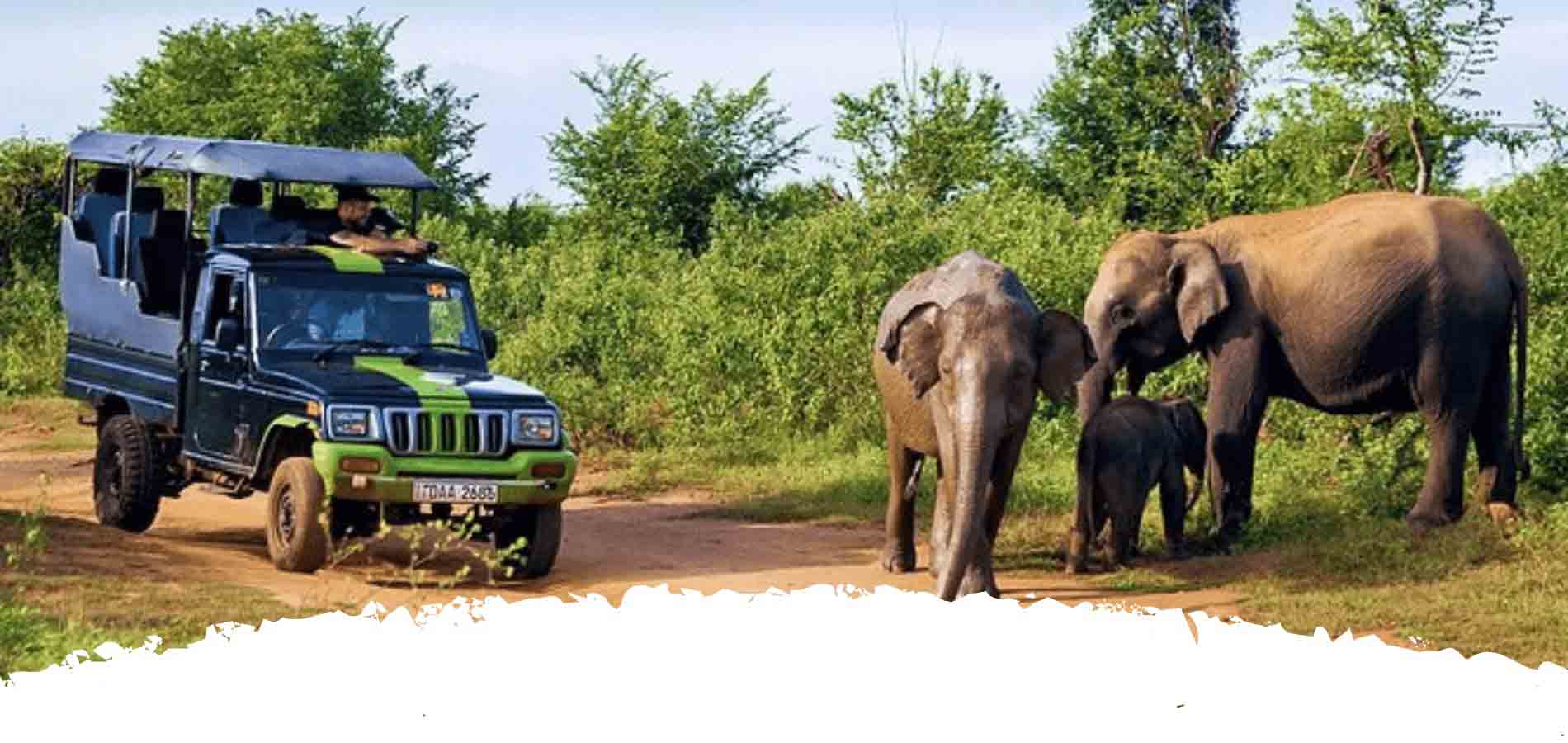 The Jeep safari in Sri Lanka