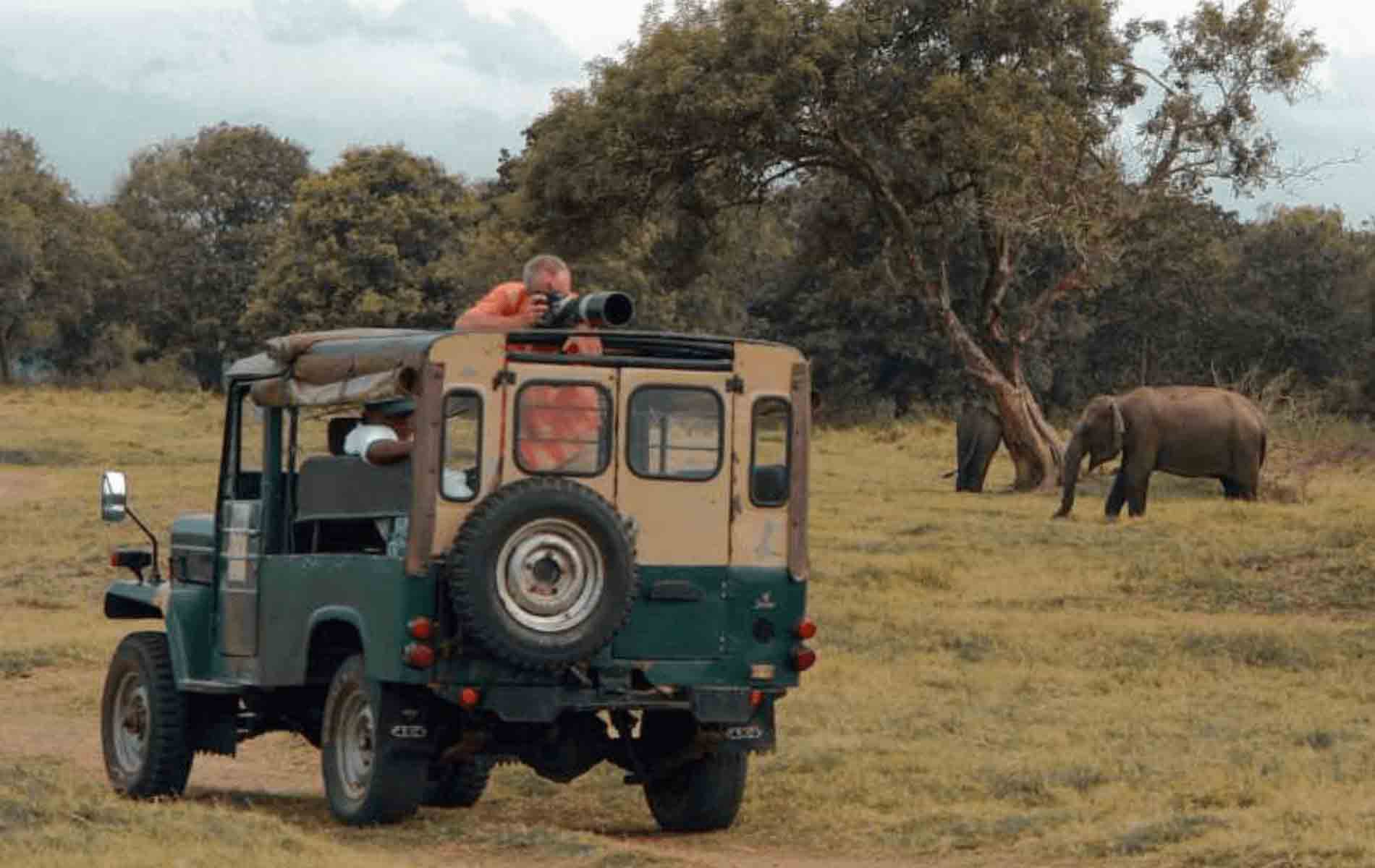Udawalawa Jeep Safari