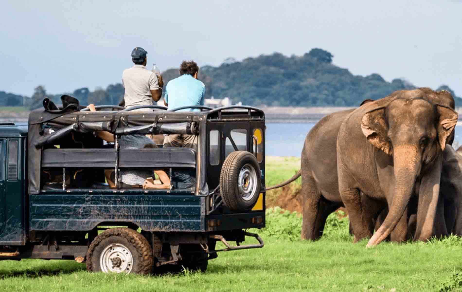 Yala Jeep Safari