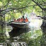 madhu river boat safari