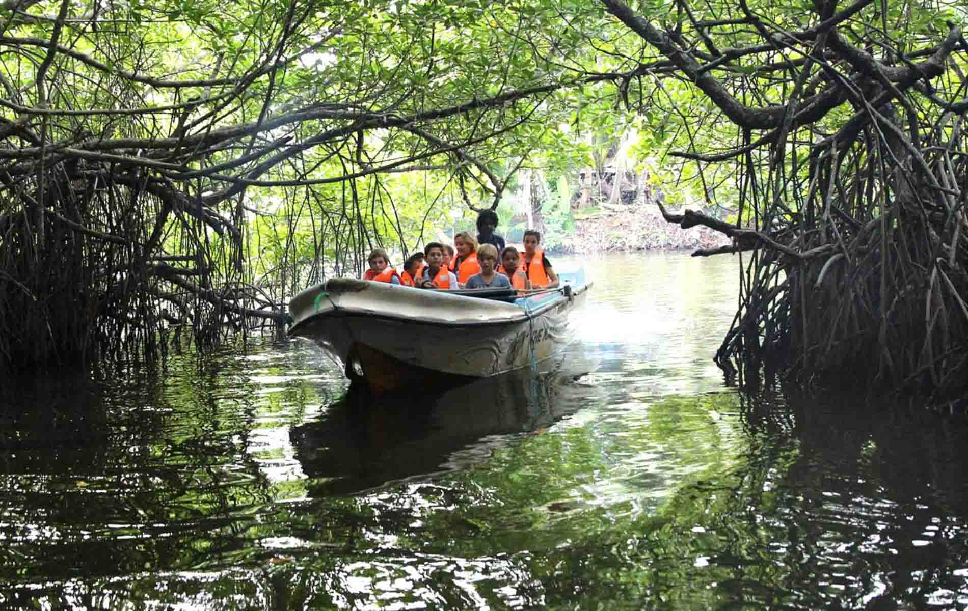 Madu River Boat Safari