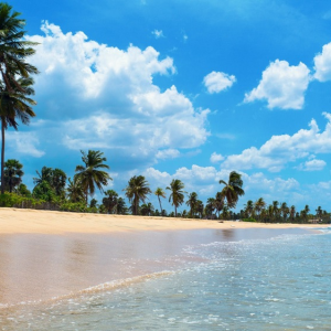 Uppuveli and Nilaveli beach