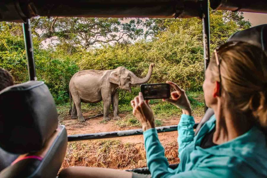 yala national park