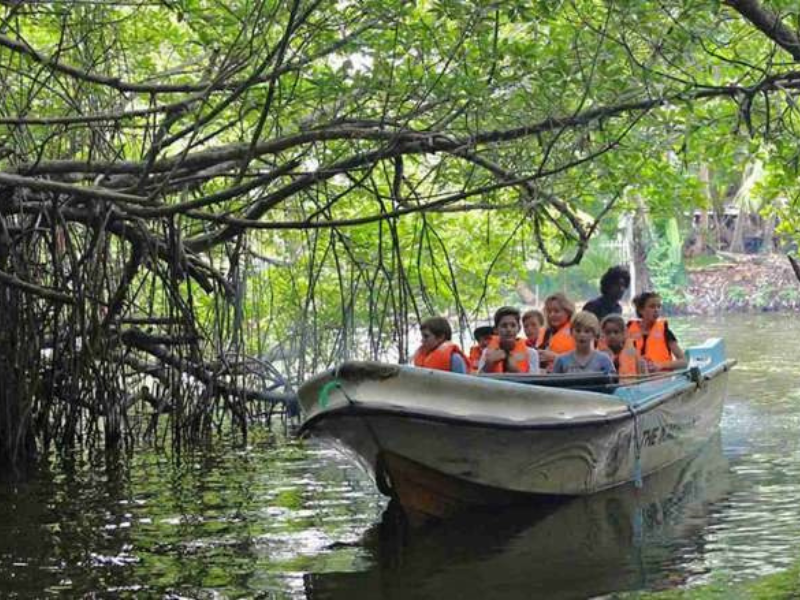 Madu River Boat Safari