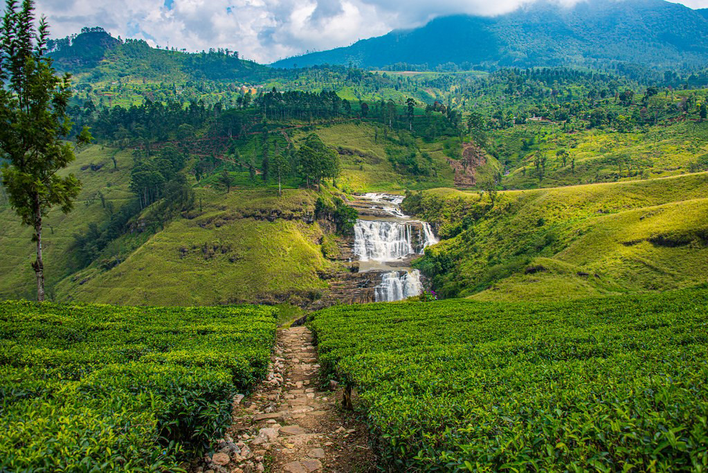 Nuwara Eliya