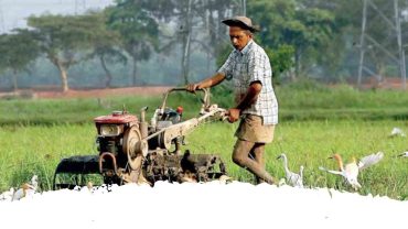 Industries in sri lanka