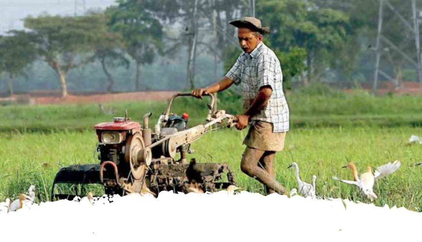 Industries in sri lanka