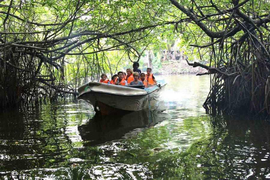 Madu River Safari