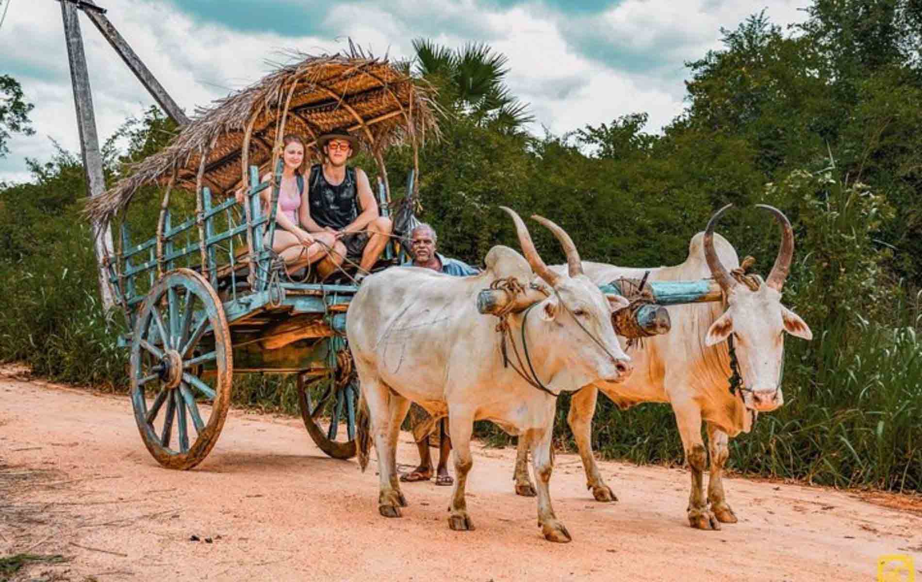 Sigiriya Village Tours