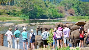 What to Wear as a Foreigner in Sri Lanka?