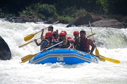 Discover the thrill of water sports in Sri Lanka! From surfing to snorkeling, explore the beauty of the Indian Ocean.