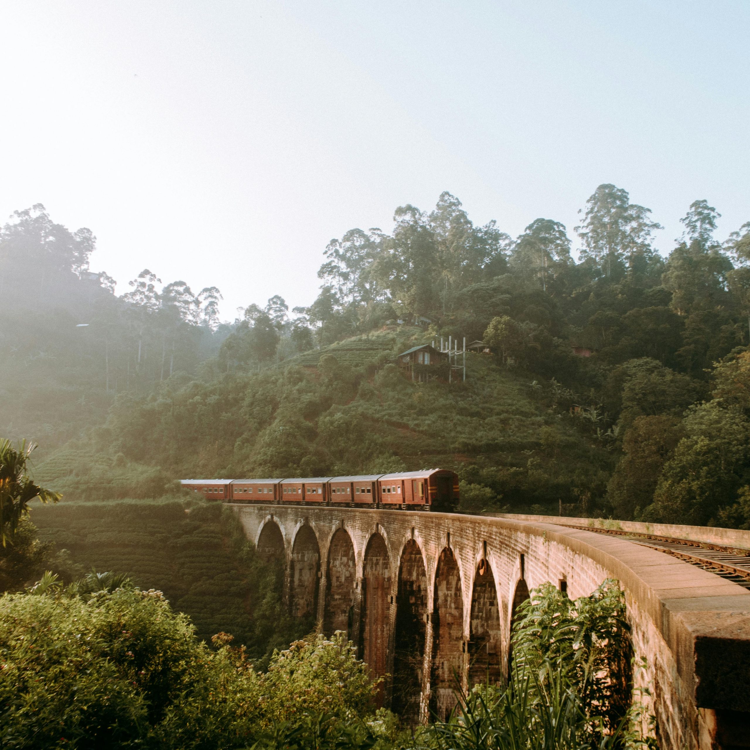 Sri Lankan Transport Options for Foreigners : Learn how to navigate the island's extensive road, rail, and aviation network efficiently.